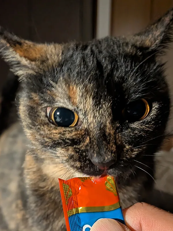 画像に alt 属性が指定されていません。ファイル名: PXL_20251122_145019733.PORTRAIT.webp